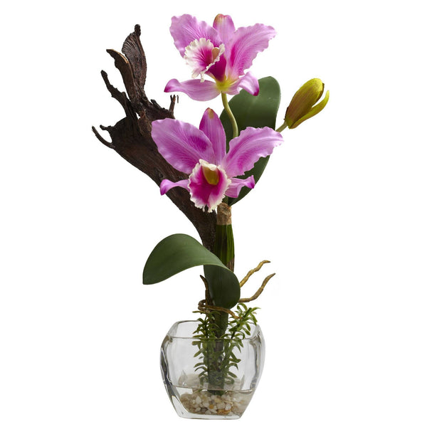Mini Cattleya Orchid Arrangement (Set of 3)
