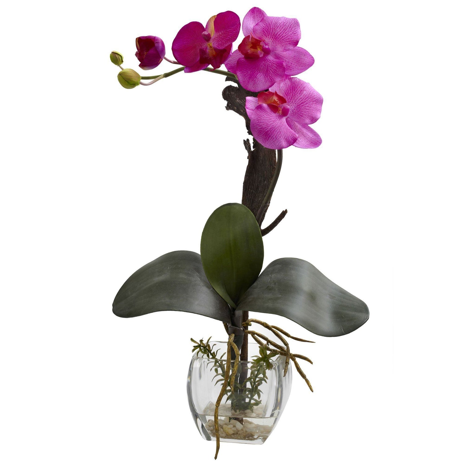 Mini Phal Orchid Arrangement (Set of 3)