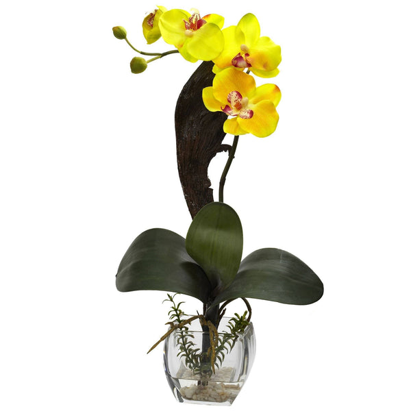 Mini Phal Orchid Arrangement (Set of 3)
