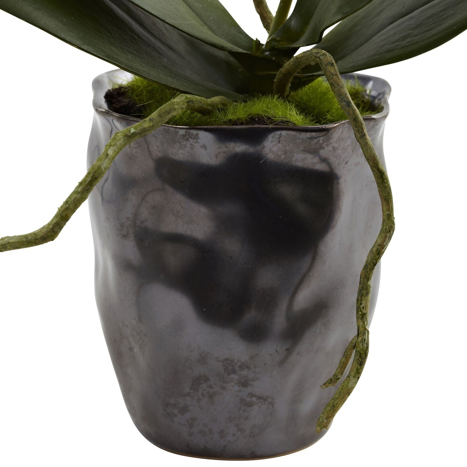 Mini Phal w/Metallic Vase (Set of 2)