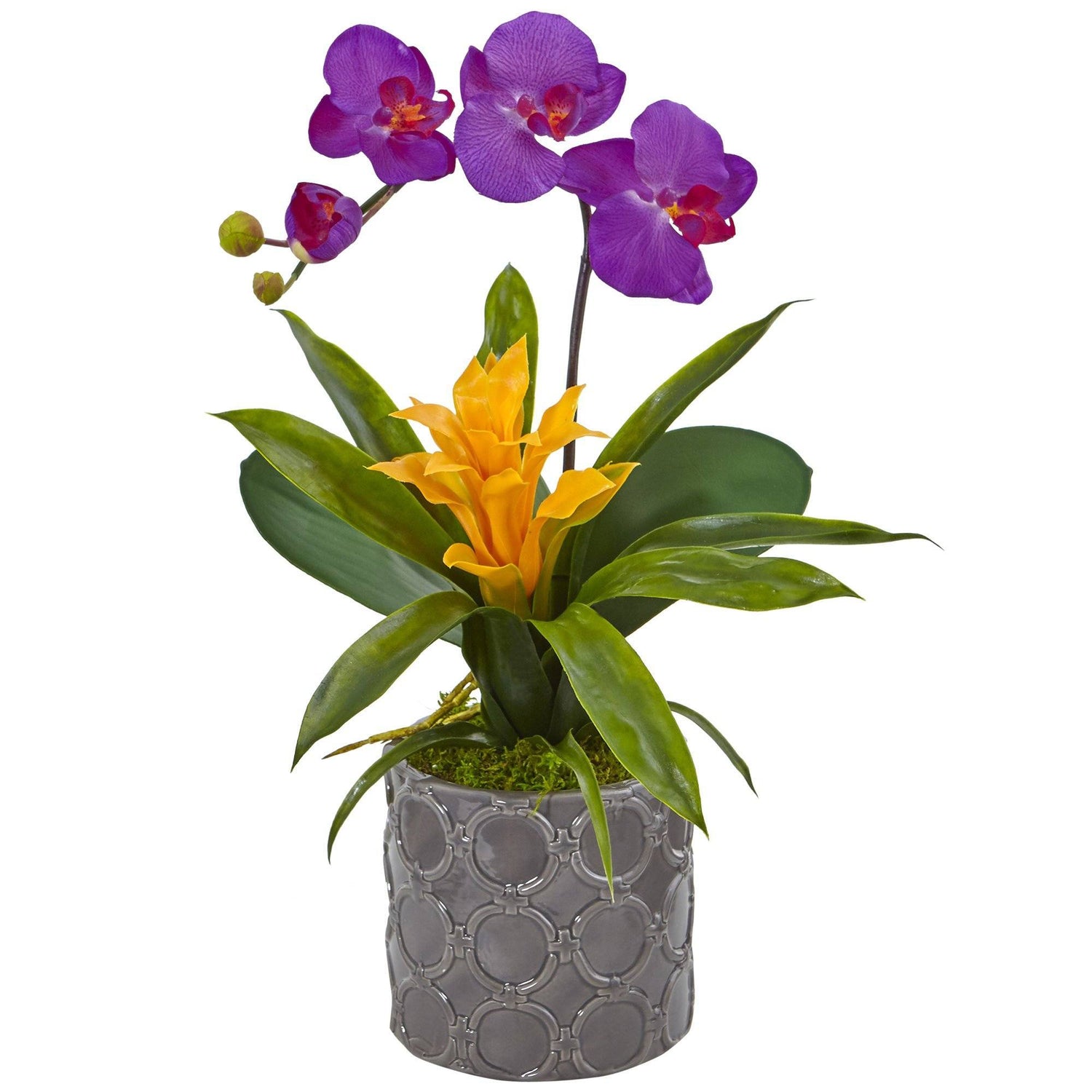 Mini Phalaenopsis Orchid and Bromeliad in Gray Vase