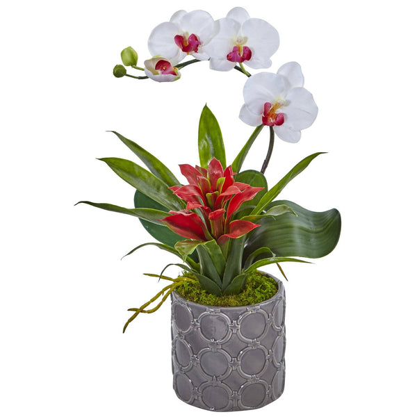 Mini Phalaenopsis Orchid and Bromeliad in Gray Vase