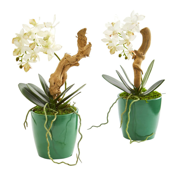 Mini Phalaenopsis Orchid Artificial Arrangement in Green Planter (Set of 2)