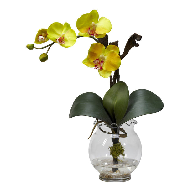 Mini Phalaenopsis w/Fluted Vase Silk Flower Arrangement