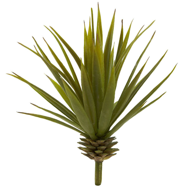 Mini Spiky Agave Succulent Plant (Set of 12)