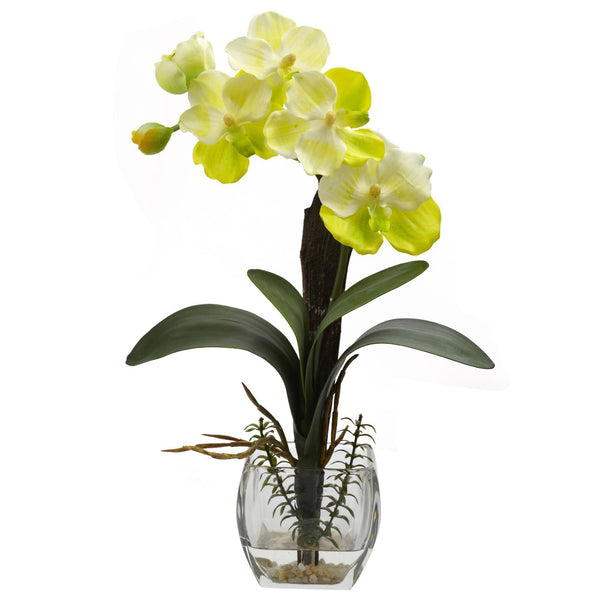 Mini Vanda Orchid Arrangement (Set of 3)
