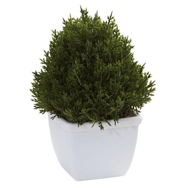 Mixed Cedar Topiary Collection (Set of 3)