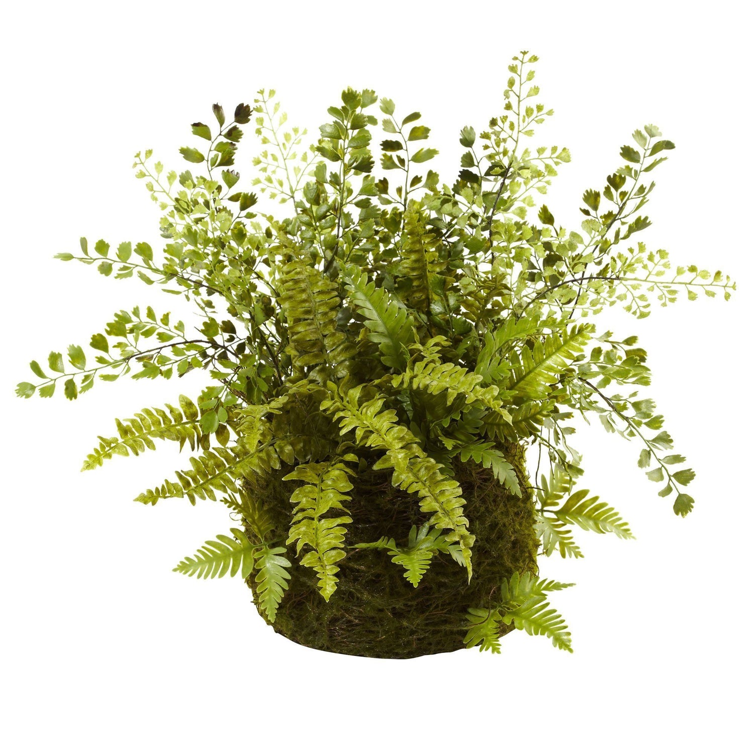 Mixed Fern w/Twig and Moss Basket