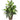 Mixed Greens w/Wicker Silk Plant