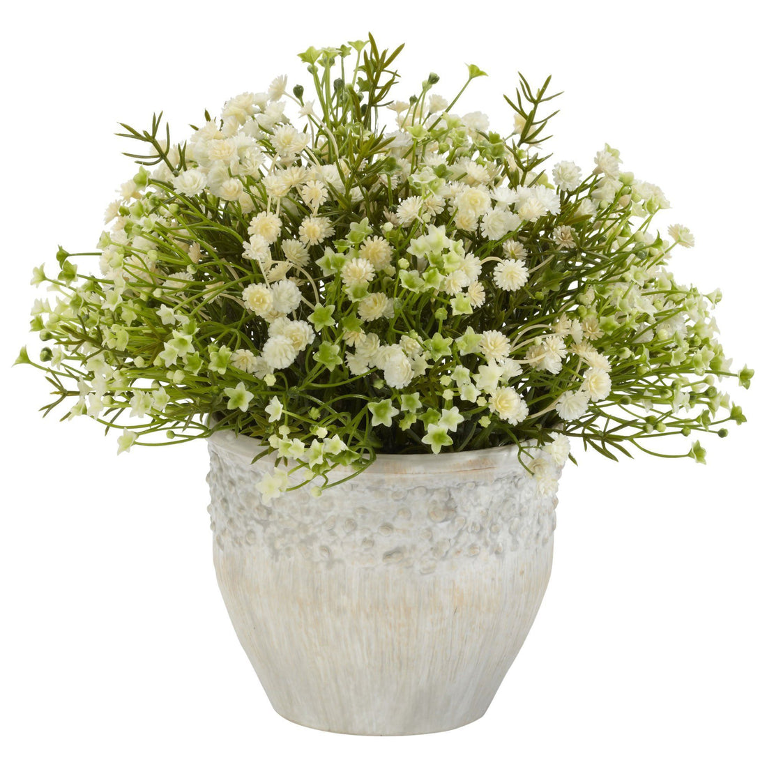 daisy indoor plant Mixed Mini Daisy Silk Plant (Indoor/Outdoor)