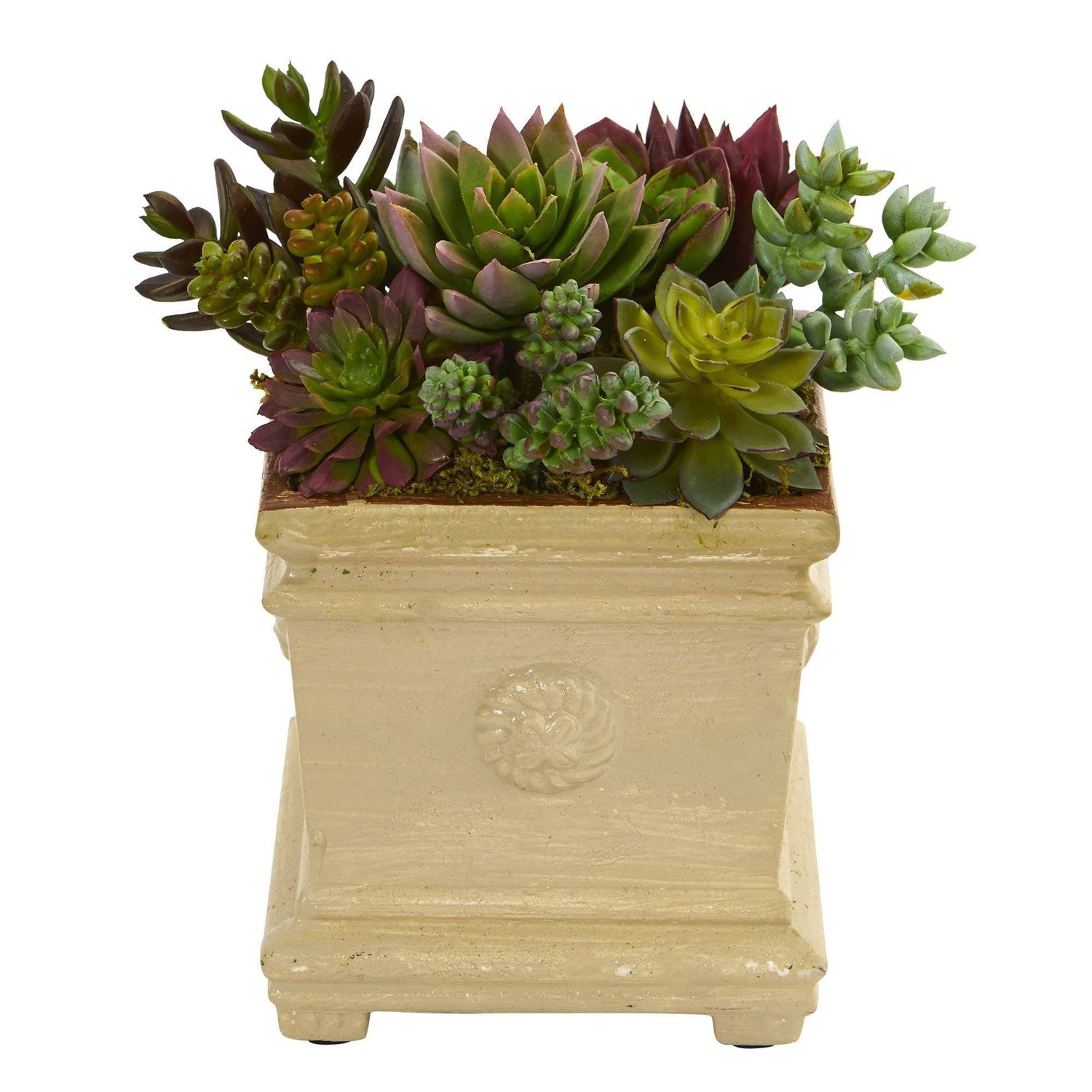 Mixed Succulent Artificial Plant in Decorative Vase