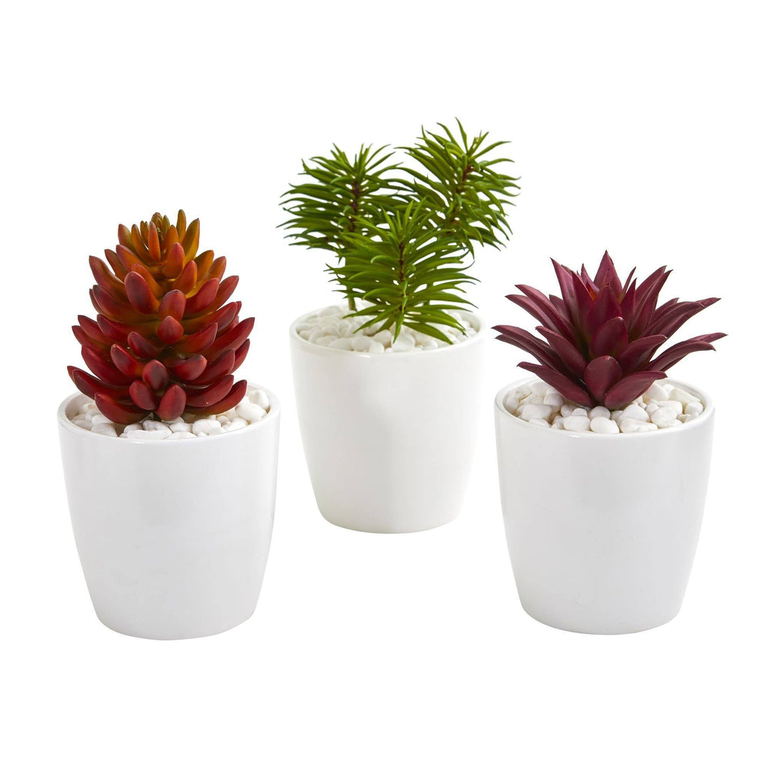set of three succulents Mixed Succulent Artificial Plant in White Vase (Set of 3)