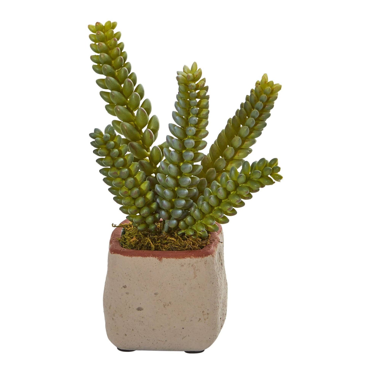 Mixed Succulent Artificial Plant (Set of 4)