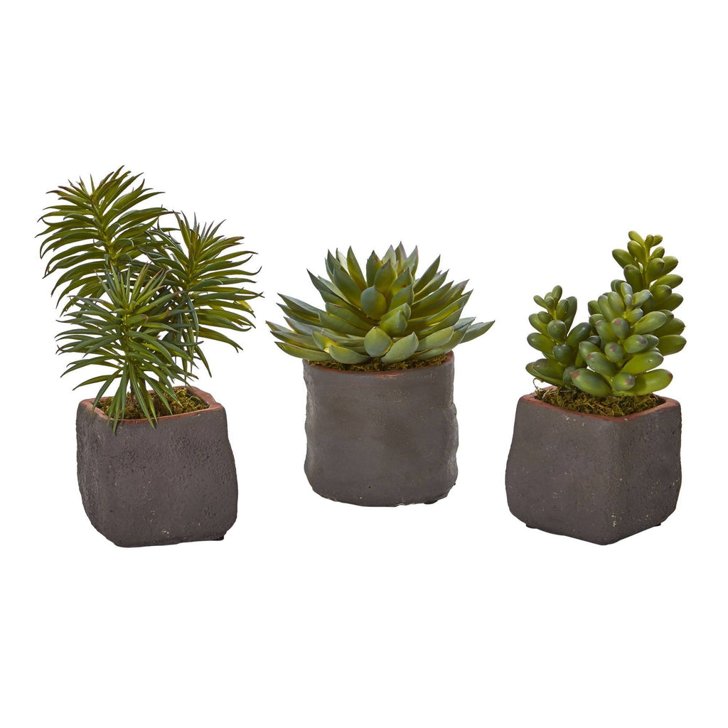 set of three succulents Mixed Succulent Trio Artificial Plant (Set of 3)