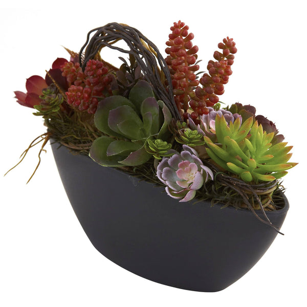 Mixed Succulent w/Oval Black Container
