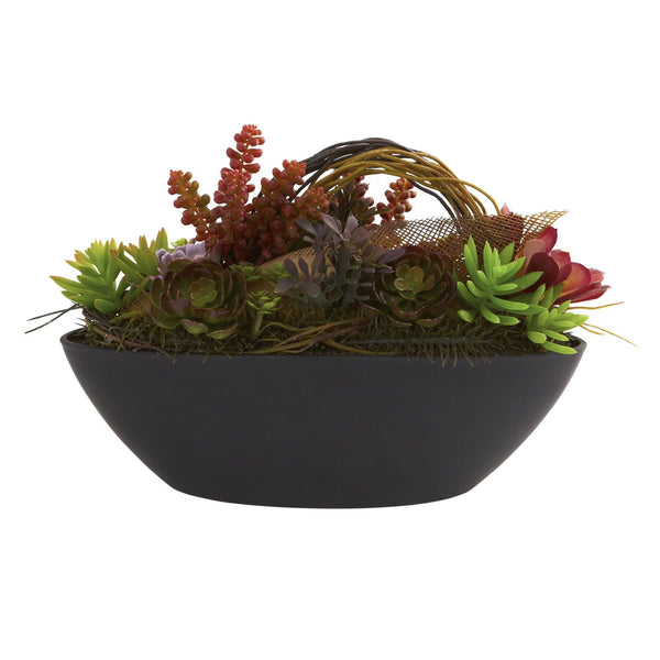 Mixed Succulent w/Oval Black Container