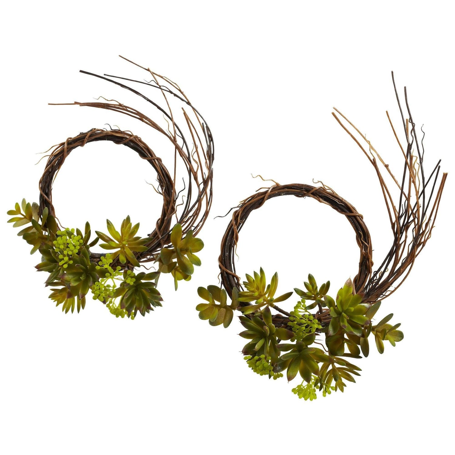 Mixed Succulent Wreath (Set of 2)