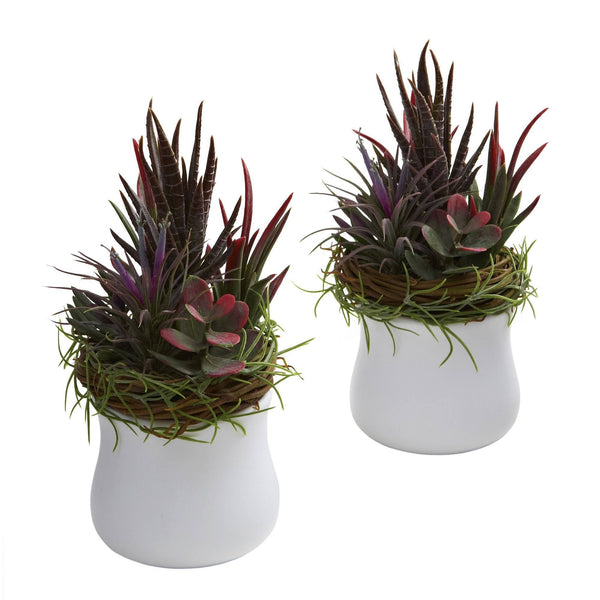 Mixed Succulent w/White Planter (Set of 2)