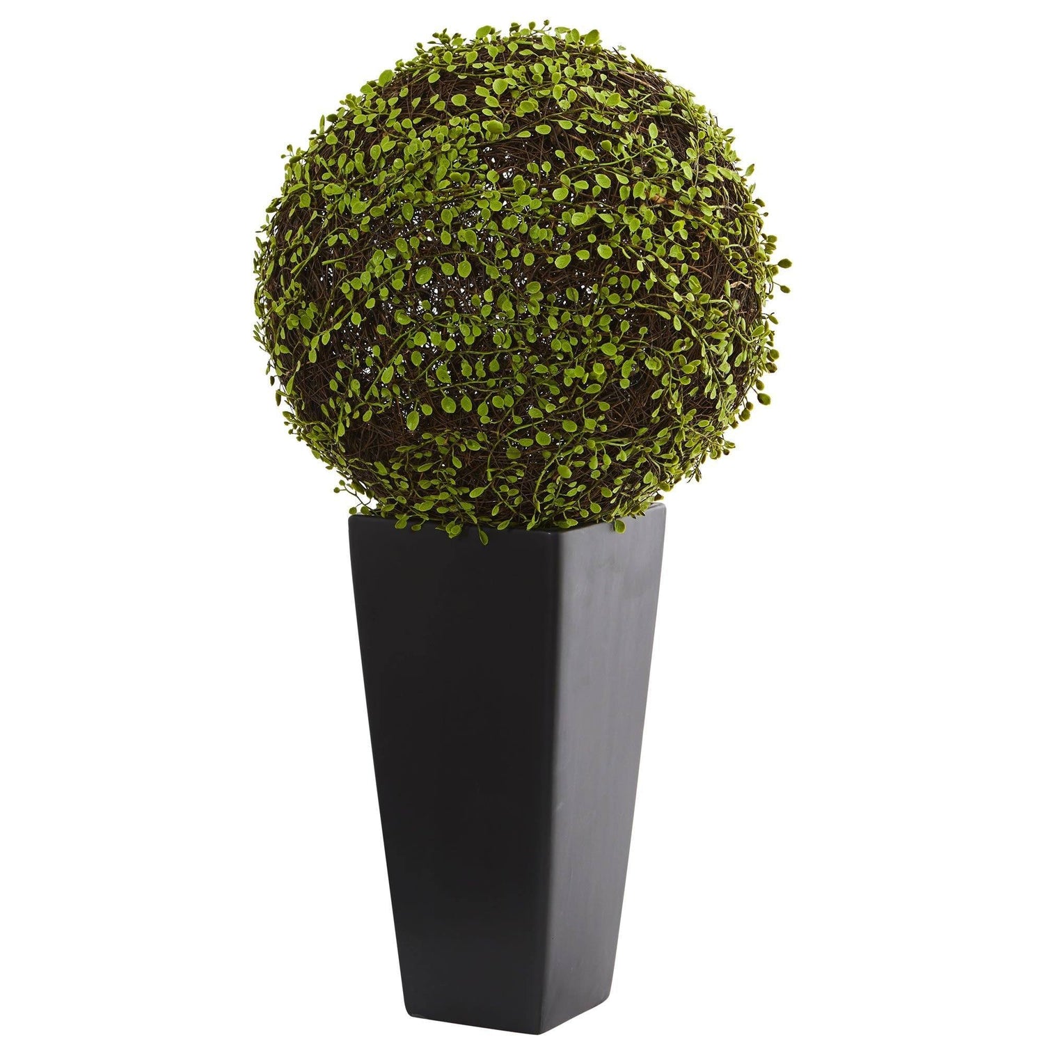 Mohlenbechia Ball Artificial Plant in Black Tower Vase