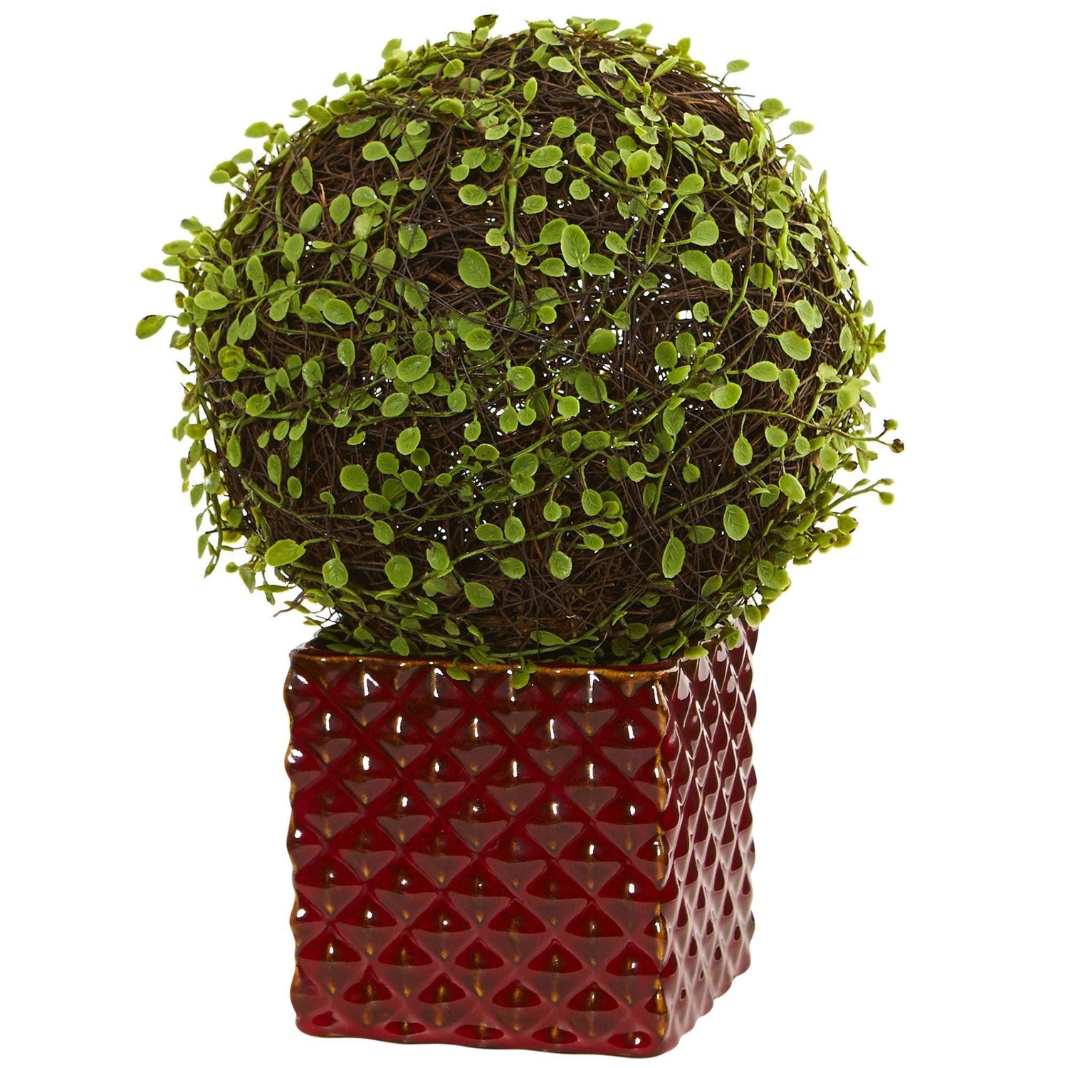 Mohlenbechia Ball Artificial Plant in Red Ceramic Cube