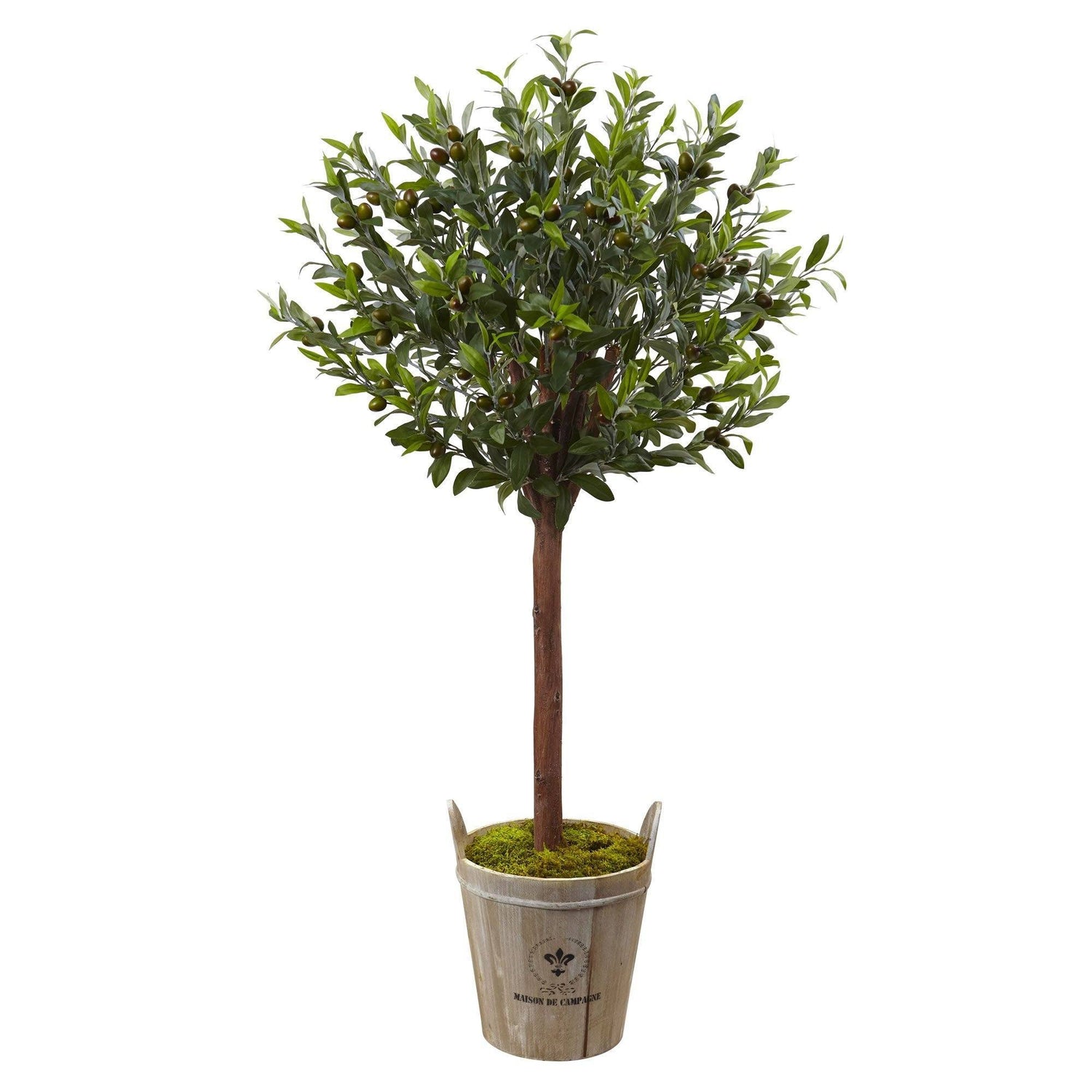 Olive Topiary Tree with Farmhouse Planter