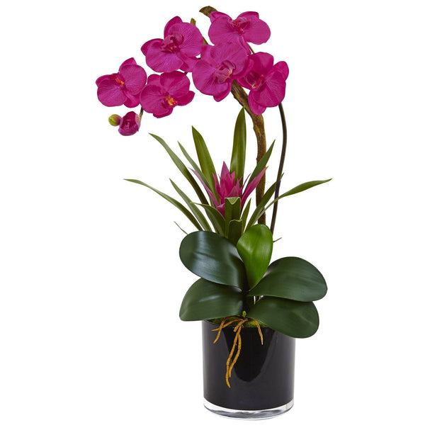 Silk Orchid and Bromeliad in Glossy Black Cylinder vase