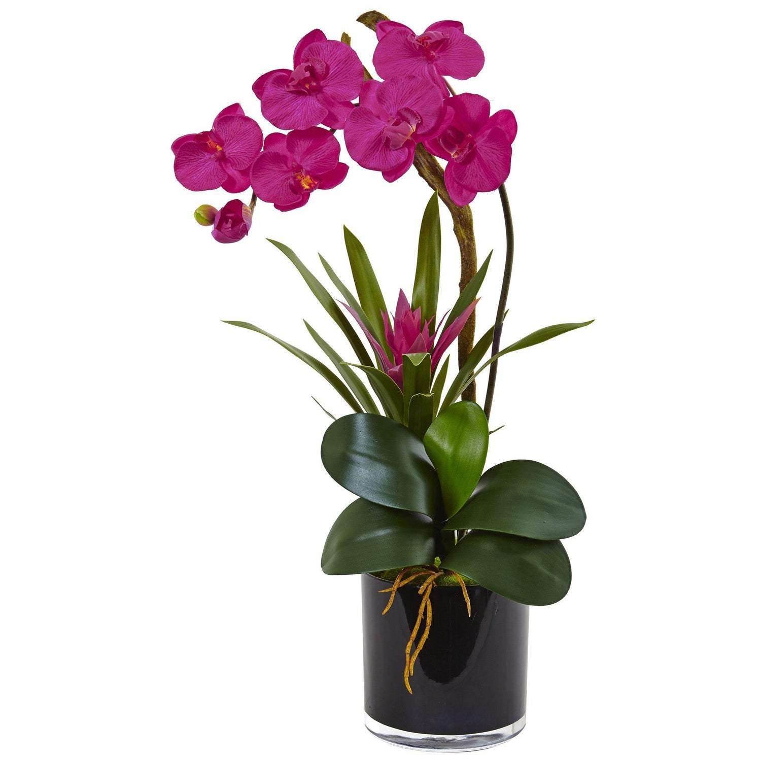 Silk Orchid and Bromeliad in Glossy Black Cylinder vase