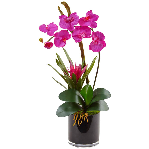 Silk Orchid and Bromeliad in Glossy Black Cylinder vase