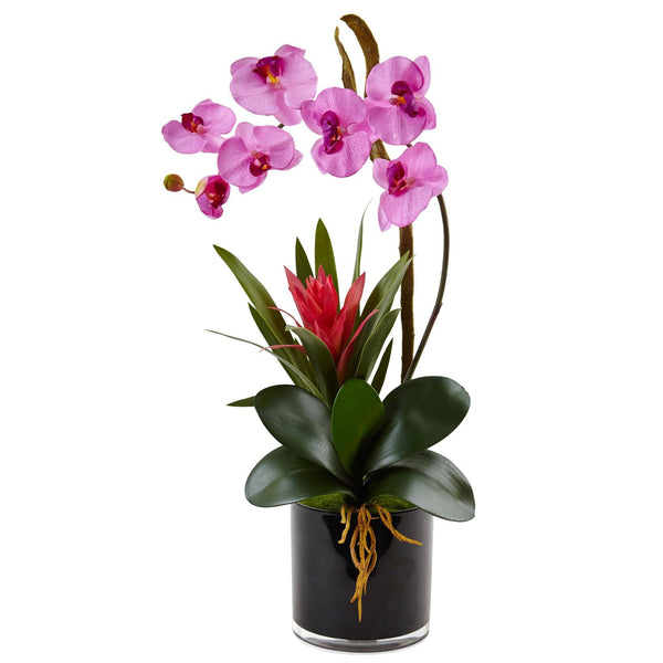 Silk Orchid and Bromeliad in Glossy Black Cylinder vase