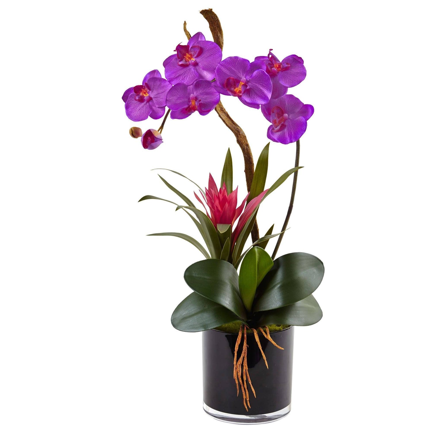Silk Orchid and Bromeliad in Glossy Black Cylinder vase