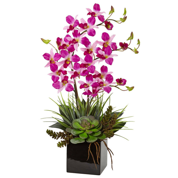 Orchid and Succulent Arrangement in Black Vase