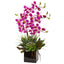 Orchid and Succulent Arrangement in Black Vase
