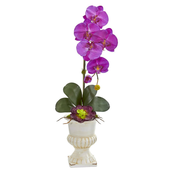 Orchid and Succulent Artificial Arrangement in Urn