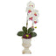 Orchid and Succulent Artificial Arrangement in Urn