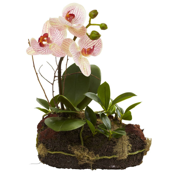 Orchid Island (Set of 2)