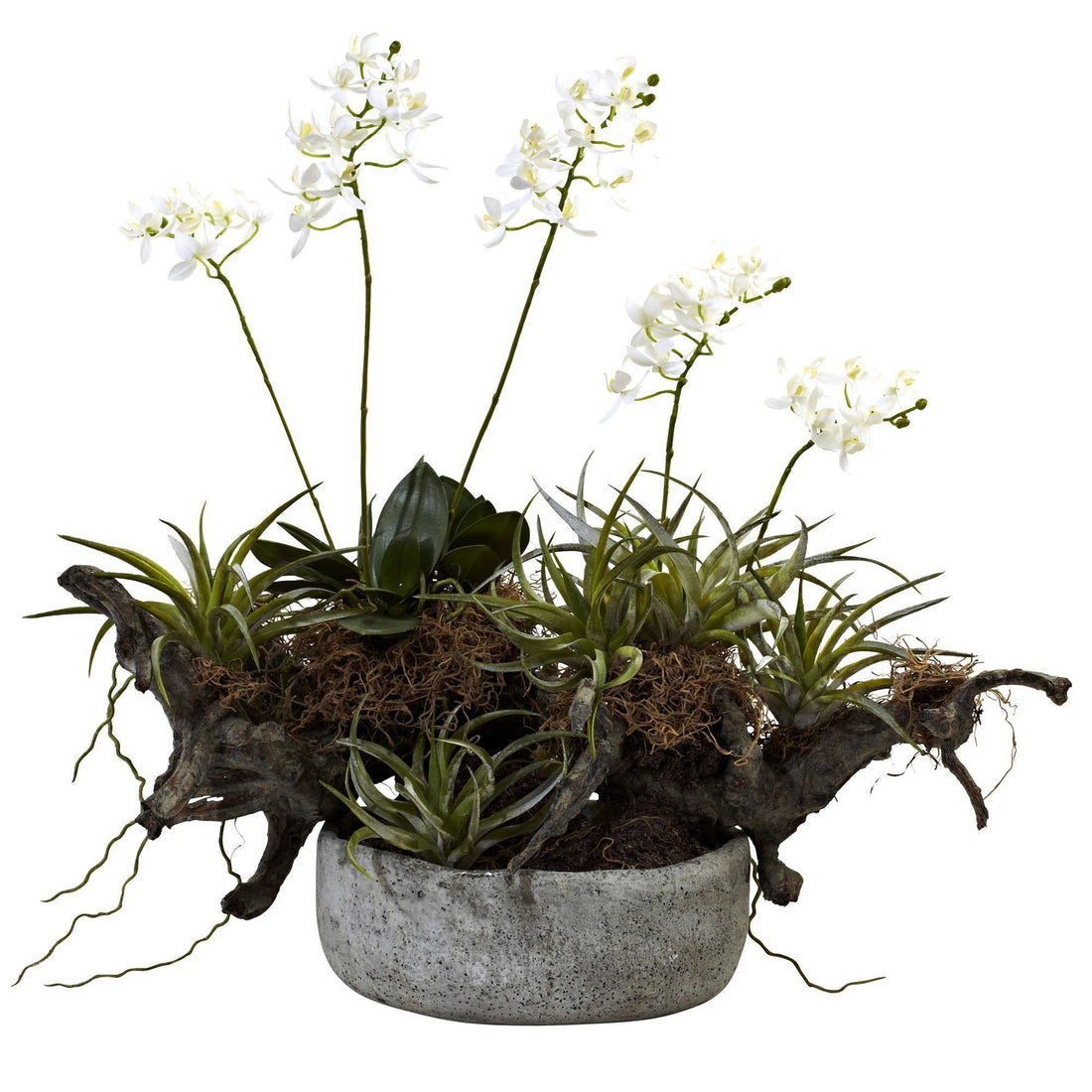 can you plant orchids with succulents Orchid & Succulent Garden w/Driftwood & Decorative Vase