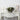 Orchid & Succulent Garden w/Driftwood & Decorative Vase