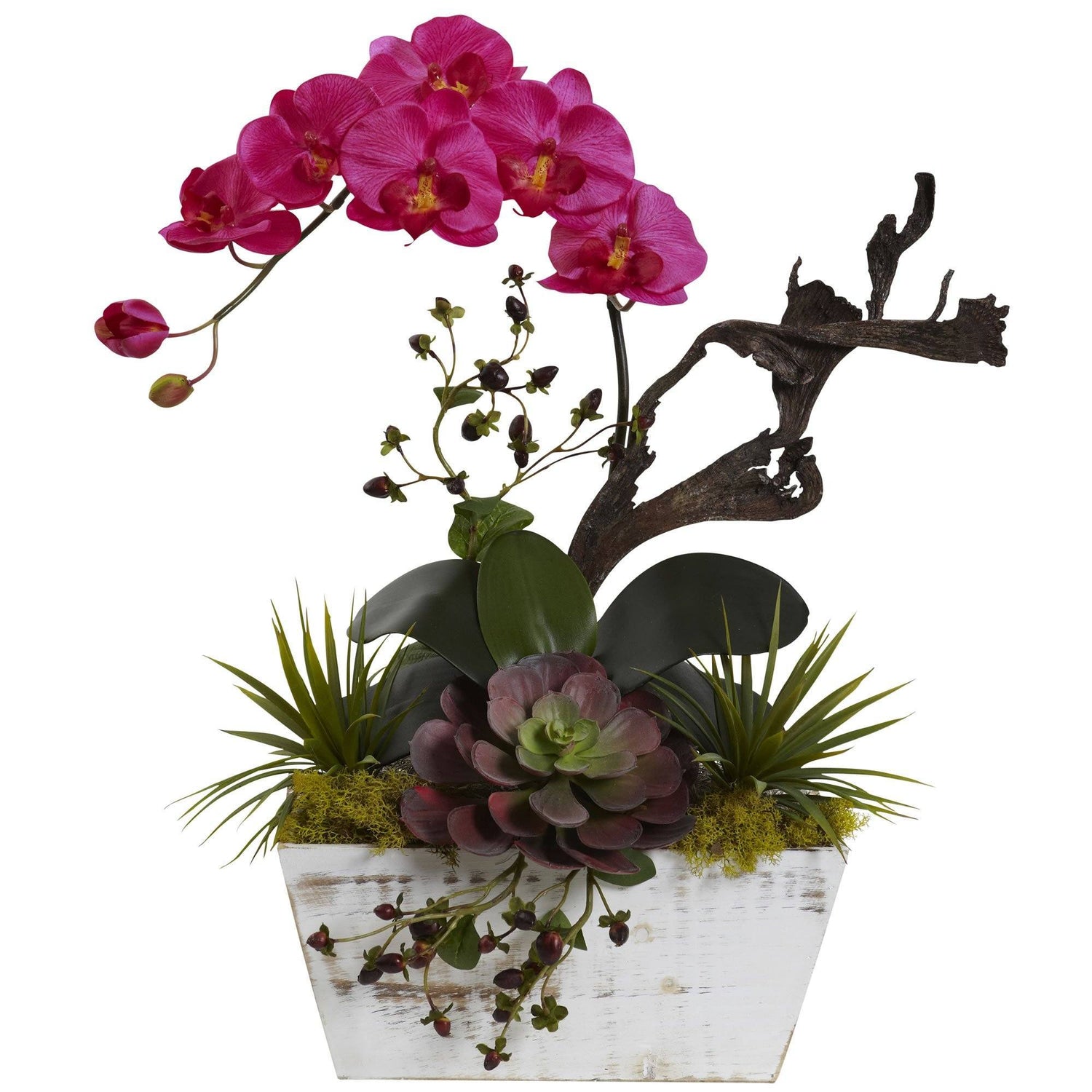 Orchid & Succulent Garden with White Wash Planter