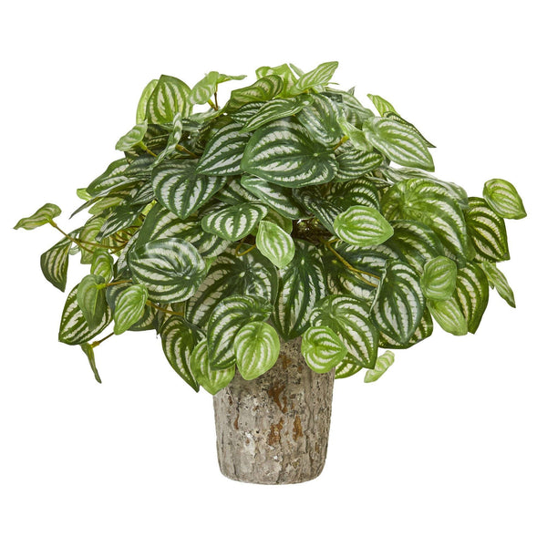 Peperomia Artificial Plant in Weathered Oak Planter (Real Touch)