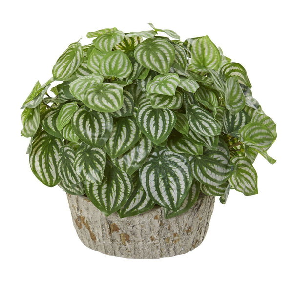 Peperomia Artificial Plant in Weathered Vase (Real Touch)
