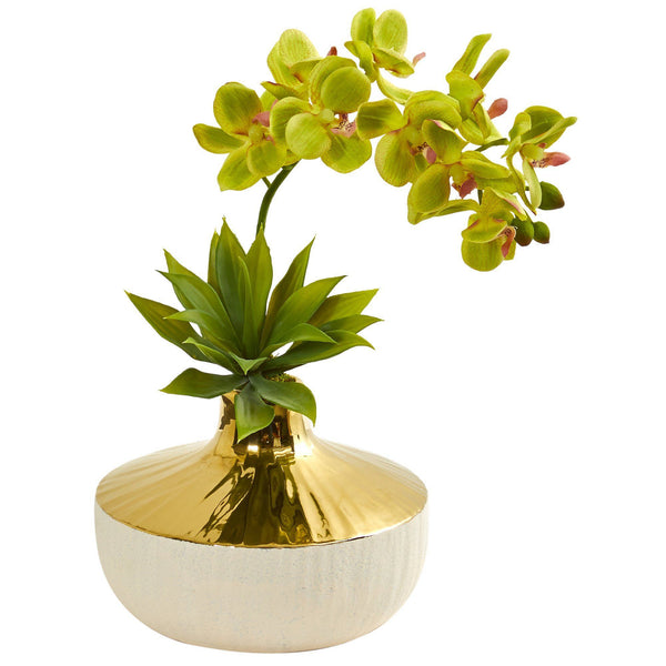Phalaenopsis Orchid and Agave Artificial Arrangement in Vase