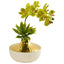Phalaenopsis Orchid and Agave Artificial Arrangement in Vase