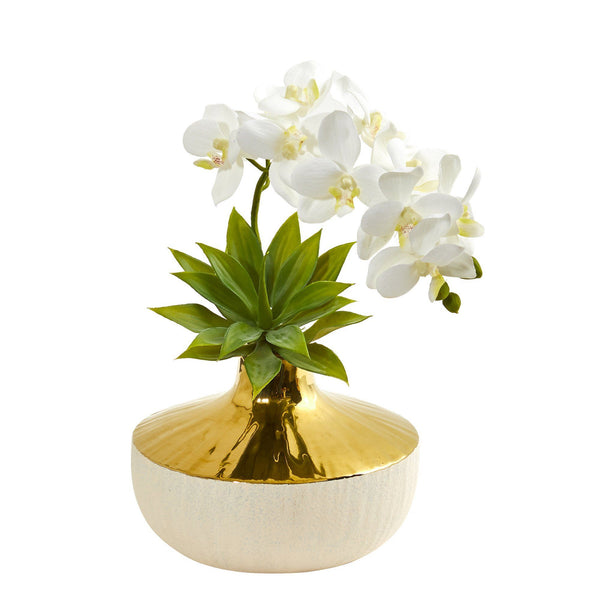 Phalaenopsis Orchid and Agave Artificial Arrangement in Vase