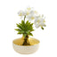 Phalaenopsis Orchid and Agave Artificial Arrangement in Vase
