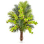 Phalaenopsis Orchid and Areca Palm Artificial Arrangement