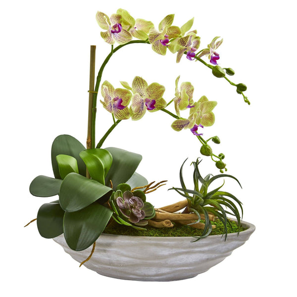 Phalaenopsis Orchid and Succulent Artificial Arrangement in White Vase