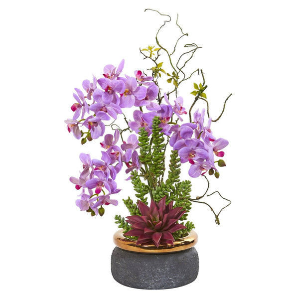 Phalaenopsis Orchid and Succulent Artificial Arrangement