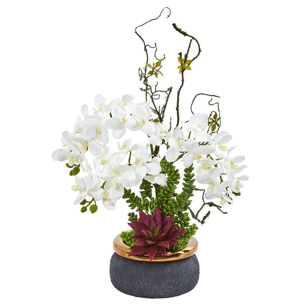 Phalaenopsis Orchid and Succulent Artificial Arrangement