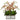 Phalaenopsis Orchid Arrangement in Decorative Wood Vase