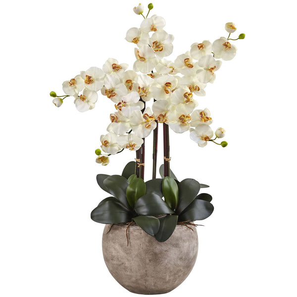 Phalaenopsis Orchid Arrangement with Sand Colored Bowl